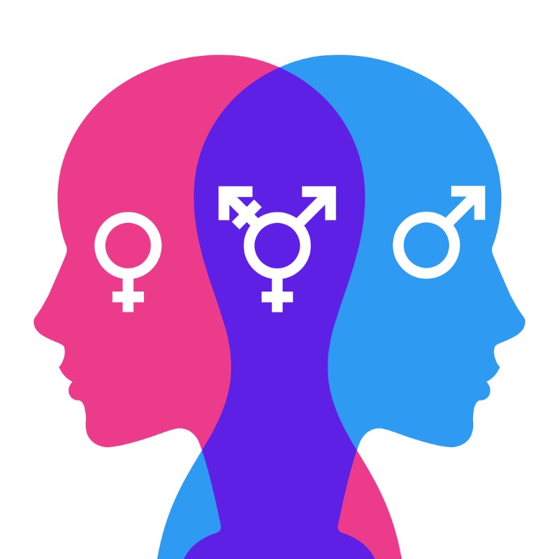 Understanding Gender Dysphoria by Mark A. Yarhouse