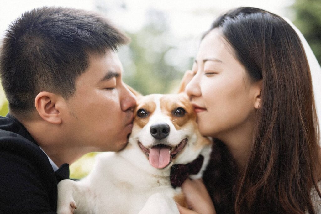 cute korean dating couple with dog